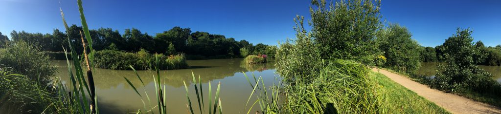 Orchard Place Farm Fishing