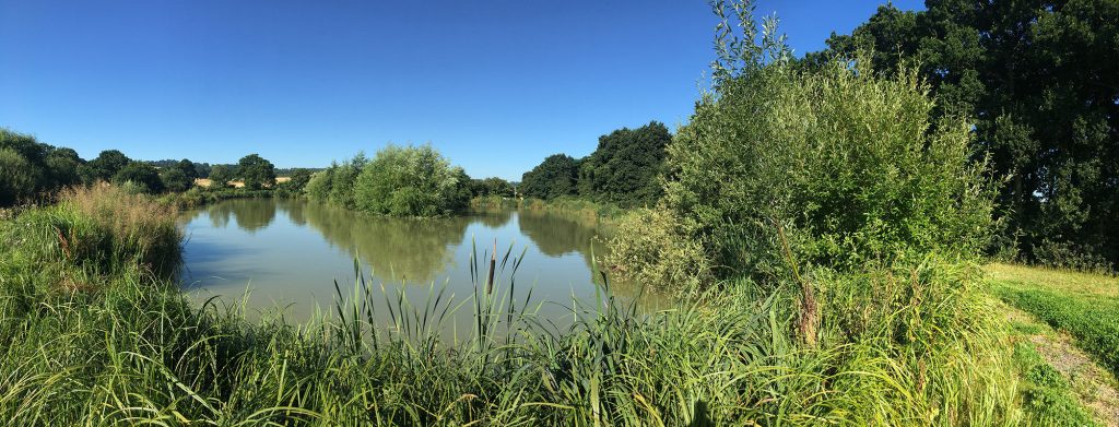 Orchard Place Farm Fishing