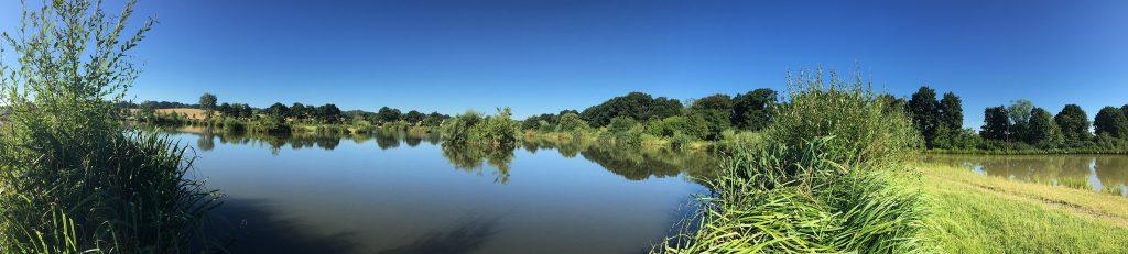 Orchard Place Farm Fishing