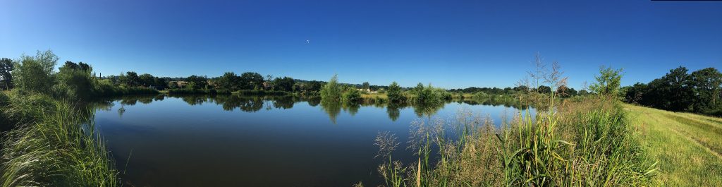 Orchard Place Farm Fishing