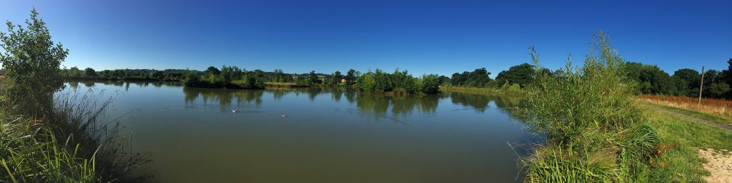 Orchard Place Farm Fishing