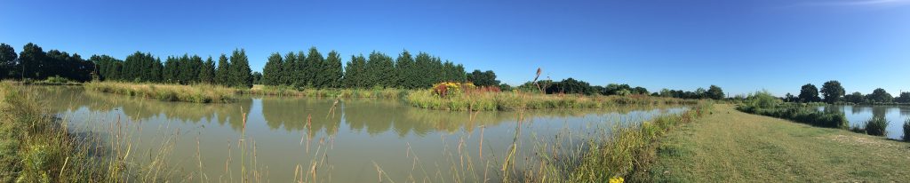 Orchard Place Farm Fishing