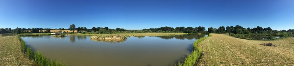 Orchard Place Farm Fishing